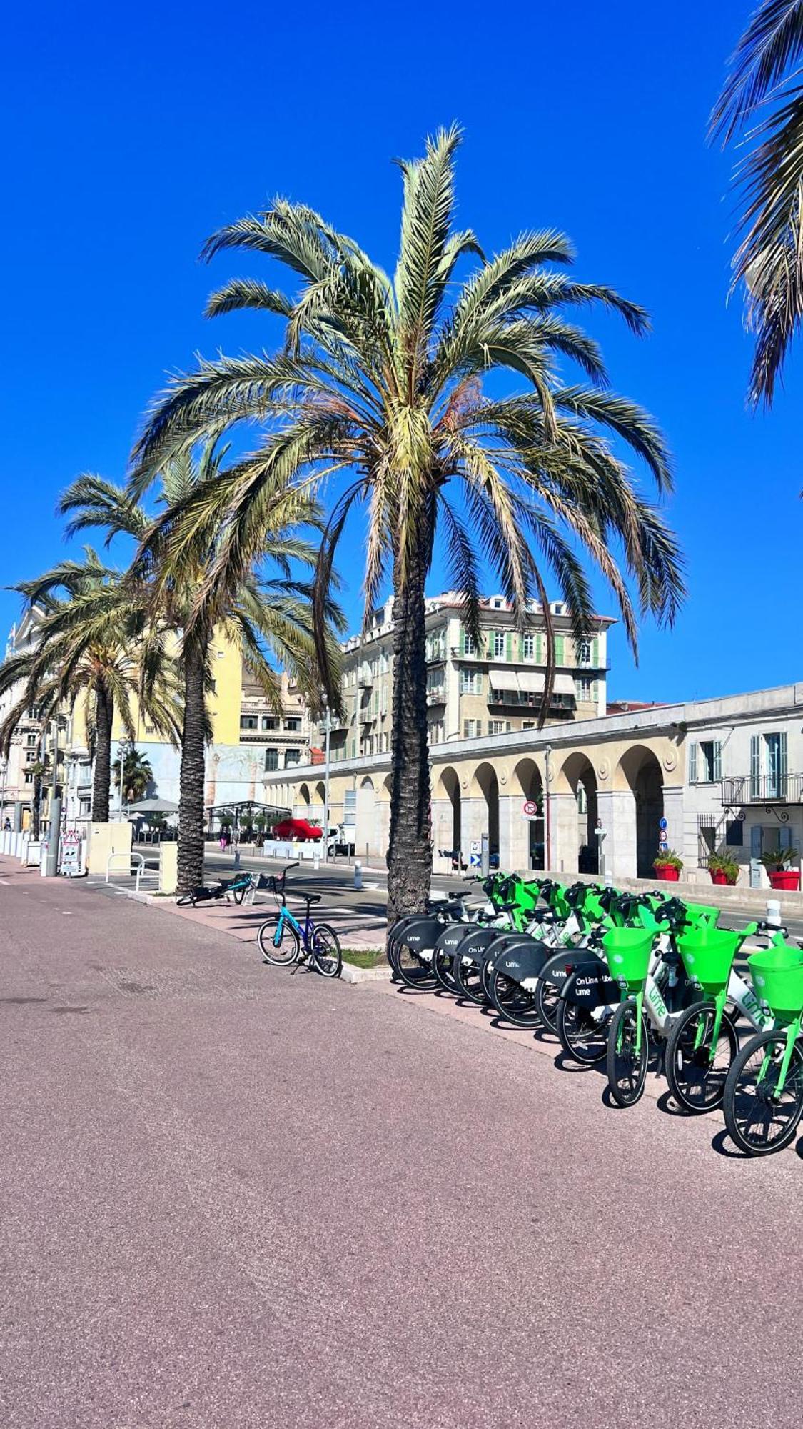 L'Azur Plaisance Lejlighed Nice Eksteriør billede